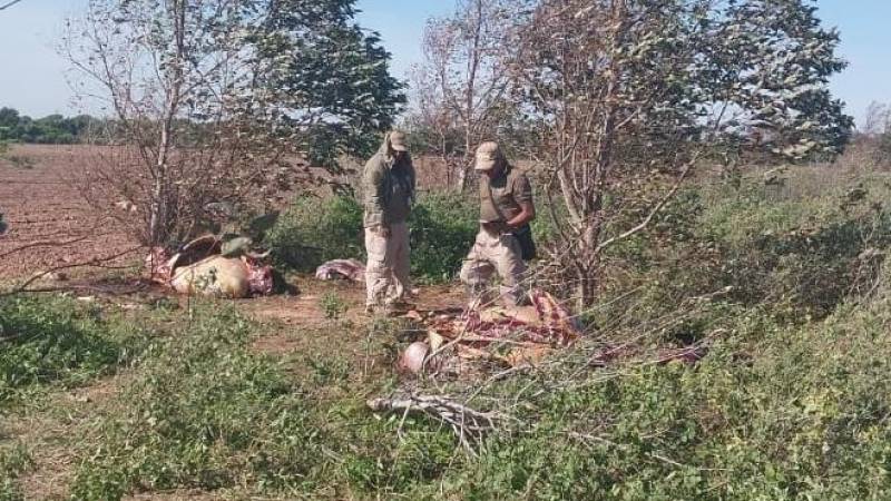 Efectivos policiales en la inspección a una propiedad. 