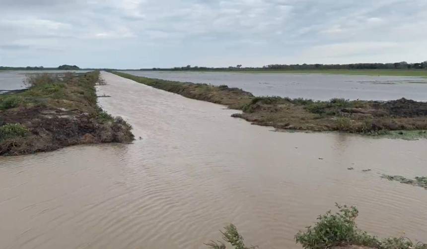 Inundaciones y falta de diésel ponen en jaque la siembra arrocera en Beni