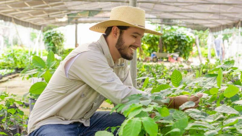 Ing. Agropecuaria reacreditada al MERCOSUR