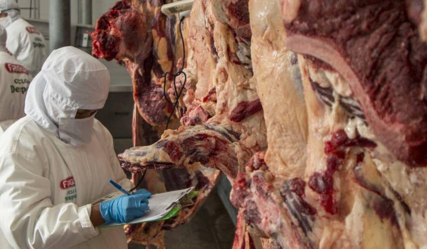 Gobierno ratifica autorización para exportar cerca de 35.000 toneladas de carne bovina para este año