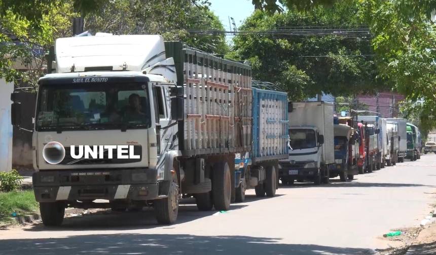 Crecen los reclamos por falta de diésel: “Al Gobierno no le creemos nada”, lamentan porcinocultores