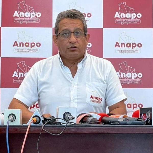 Ante el déficit, Anapo urge al Gobierno activar un plan nacional de trigo e impulsar la biotecnología