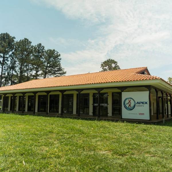 Santa Cruz: Alianza público – privada reactiva Centro de Mejoramiento Genético para ganado bovino