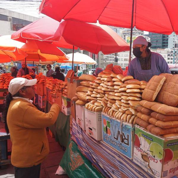 Pan en Bolivia: Suben los costos, cae la demanda y la producción de trigo cubre menos del 15% del consumo nacional