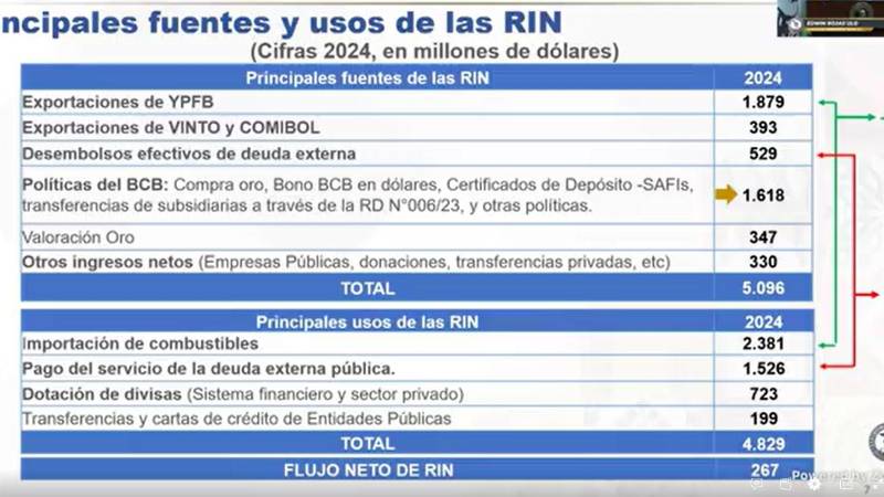 Detalle de las fuentes y usos de las RIN