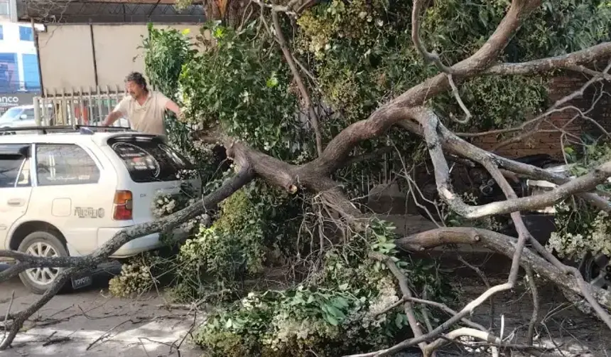 ¡Precaución! Rige alerta roja en Santa Cruz por fuertes ráfagas de hasta 120 km/hora