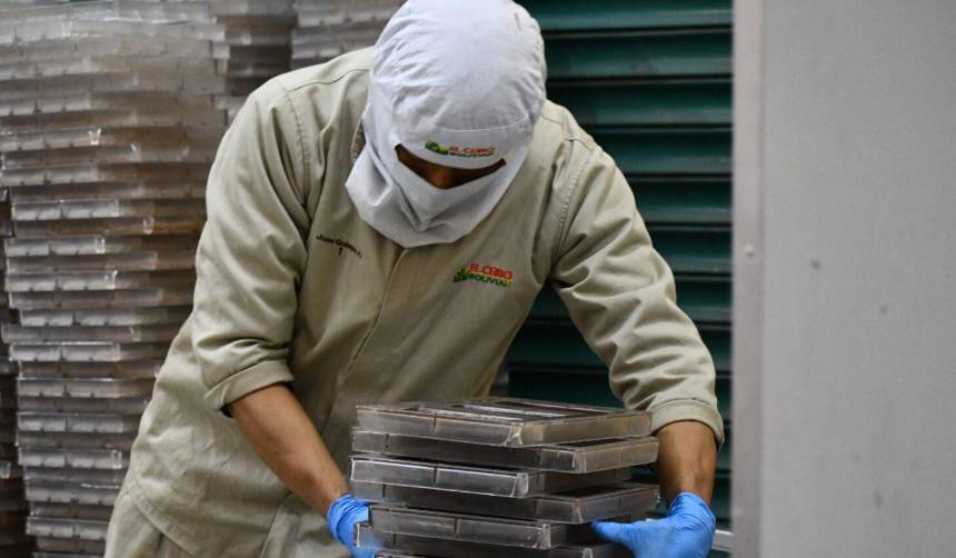 Más de 150.000 empleos fueron afectados a causa de los bloqueos, reportan los empresarios de Cochabamba