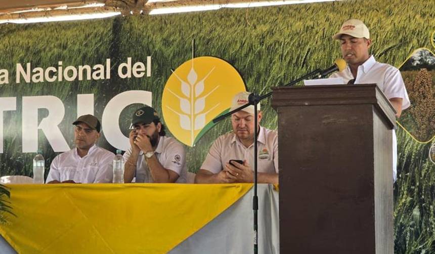 Ante el déficit de trigo, agro propone al Gobierno una agenda de cuatro pilares para apuntalar la producción