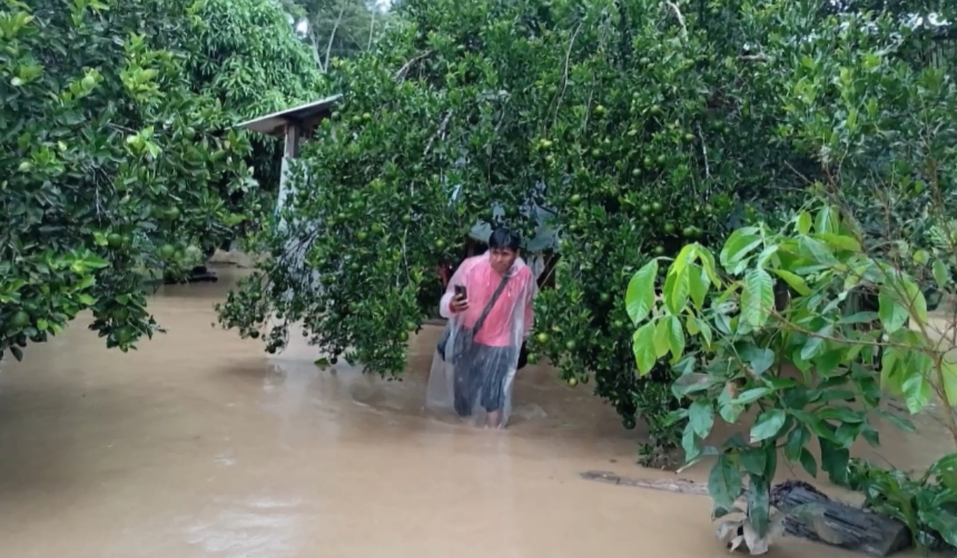 Más de 200 comunidades y 11.000 hectáreas de cultivos del trópico están afectados por las lluvias