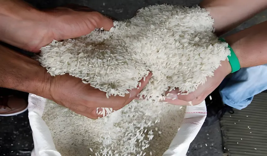 La importación de arroz es poco viable por la logística y la falta de dólares, advierten productores