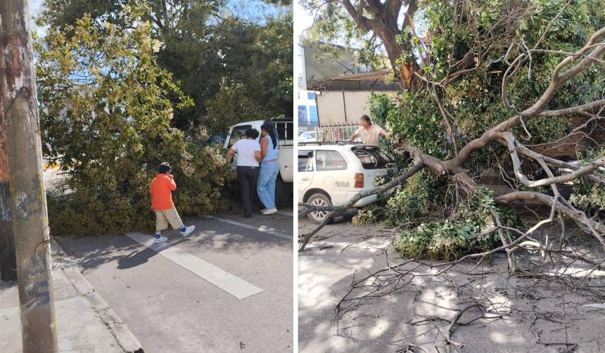 Fuertes vientos causan estragos en Santa Cruz: Reportan incendios y árboles caídos