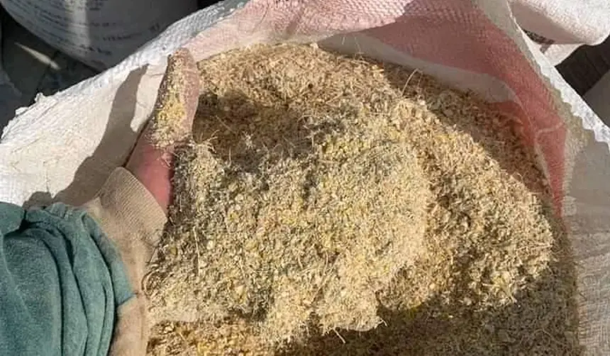 Sube hasta un 30% el costo de la cascarilla de soya y afecta la producción de pollo, huevo y leche