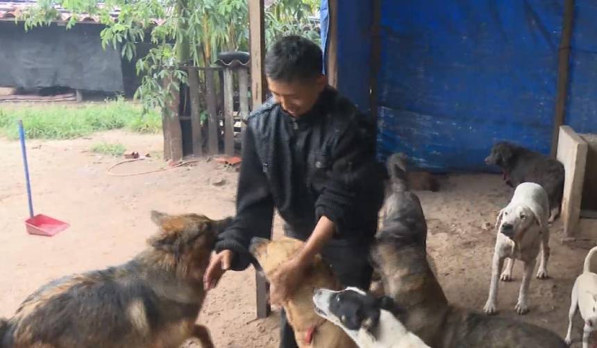 Édgar Ortega, el hombre que convirtió una experiencia personal en un refugio para animales