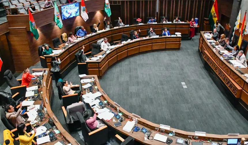 Cámara de Senadores inicia el tratamiento del Presupuesto General del Estado 2026