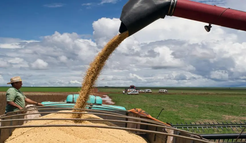 “Hemos cumplido con el abastecimiento interno”, señala presidente de Anapo ante veto a la exportación de soya