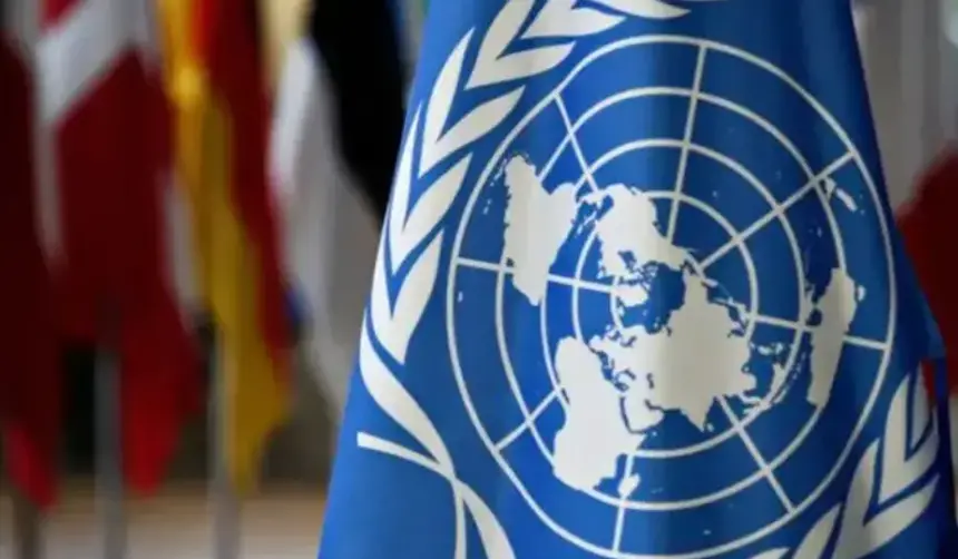 Bolivia recuperará voto en la ONU tras pagar cuota en bolivianos, según viceministro