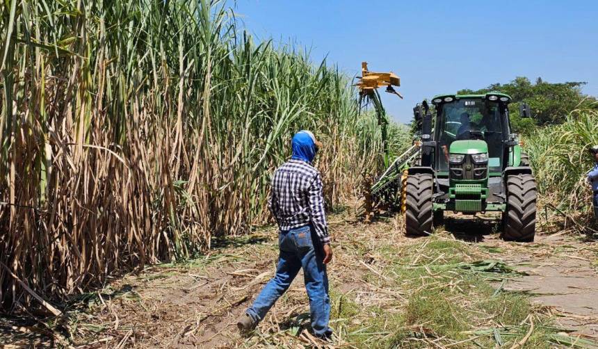 El exceso de humedad en el suelo retrasa la zafra cañera, según Concabol