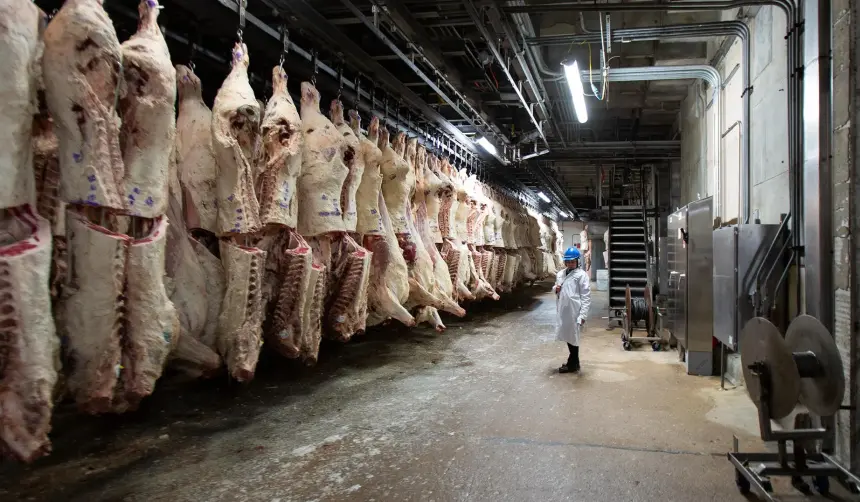 Canciller de Chile dice que la carne boliviana no solo puede llegar a su país, sino al resto del mundo