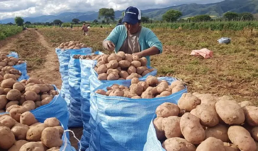 Sector agropecuario, en alerta por los riesgos de la ola de frío en la producción de alimentos