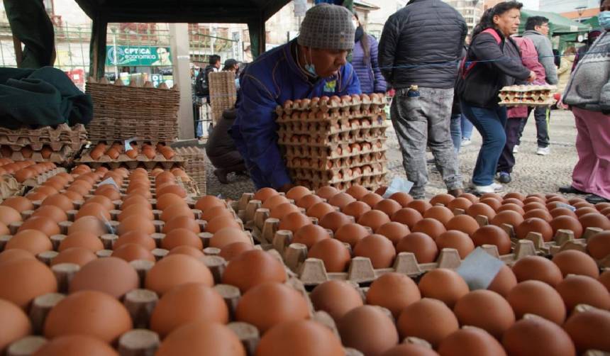 Día Mundial del Huevo: Santa Cruz lidera la producción, seguido de Cochabamba
