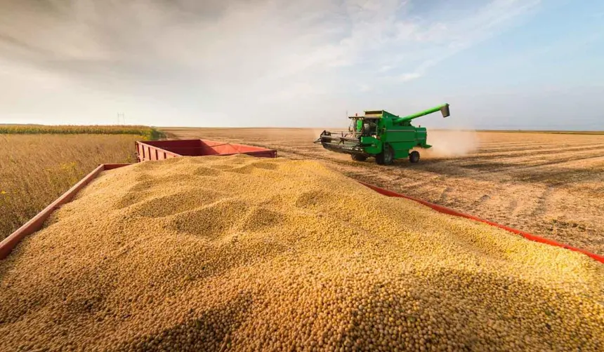 Soyeros: Se pierden oportunidades ante trabas burocráticas para exportar la cosecha de verano