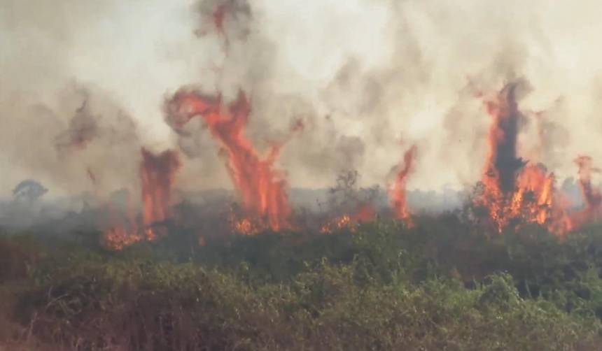Santa Cruz registra 14 incendios forestales activos y la Gobernación activa alerta naranja