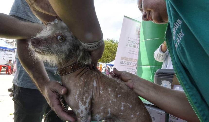 Con sus mascotas en brazos, familias participan de la vacunación antirrábica en toda Bolivia