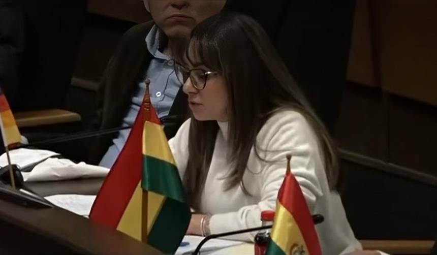 Interpelación por combustible: “El Gobierno nos ha mentido, nos ha contado historias”, dice diputada de Alianza Popular