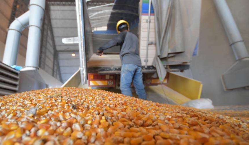 No solo es la harina, Gobierno advierte esquemas de corrupción en la subvención al maíz y al trigo