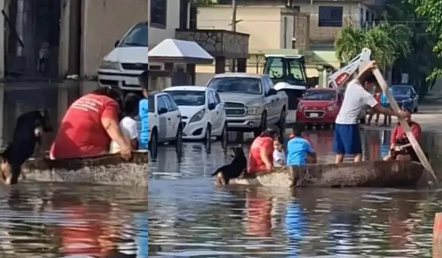 ¡Héroe de cuatro patas! Perro ayuda a su familia a empujar una lancha durante las inundaciones en México 