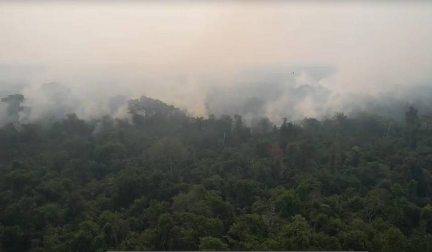El fuego avanza en el Bajo Paraguá y amenaza el plan de manejo del asaí del que dependen 150 familias