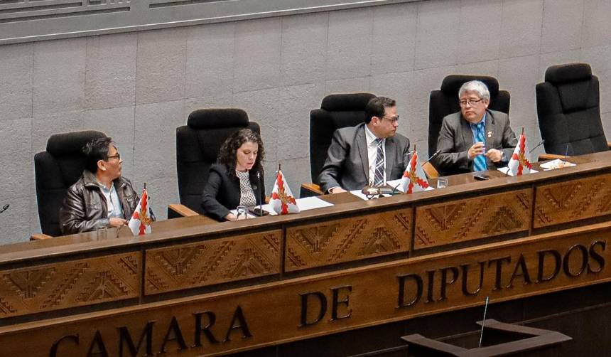 Diputados rechazan la dispensación de trámite para tratar el proyecto que busca abrogar la ley conversión de tierras