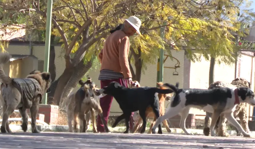 Natalia cuida animales rescatados, los vacuna y alimenta con ingresos que consigue vendiendo dulces y juguetes en la calle