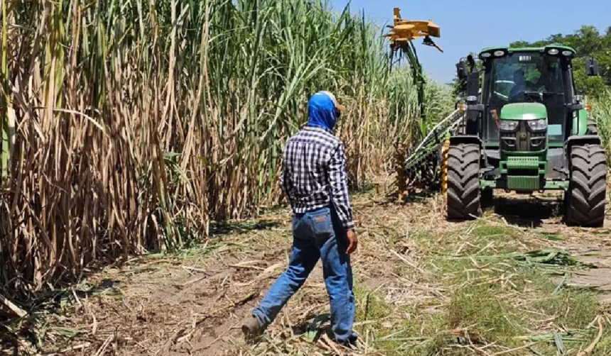 Cañeros exigen pago de más Bs 300 millones por la provisión de etanol y dan ultimátum
