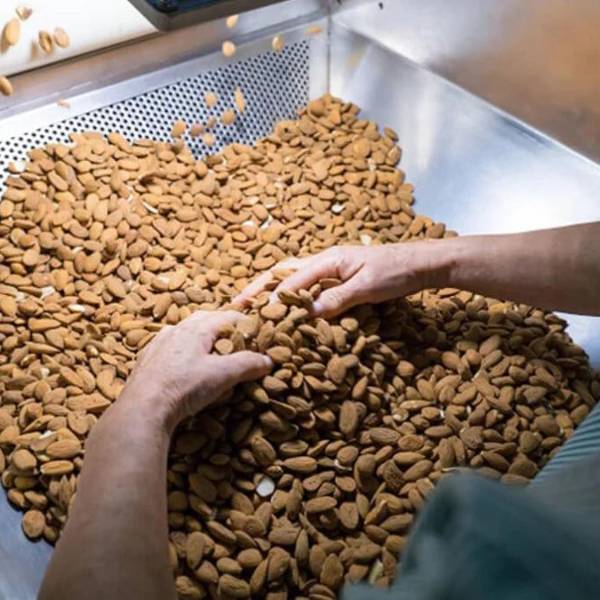 Productores de goma y almendra cuestionan el decreto 5613 y señalan que sus tierras ya fueron saneadas 