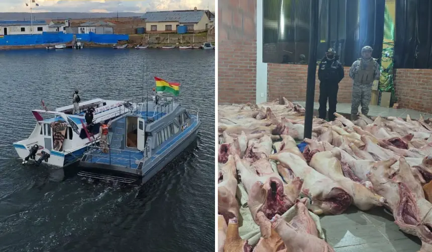 Hallan dos barcazas en el lago Titicaca cargadas con casi 200 cerdos de contrabando