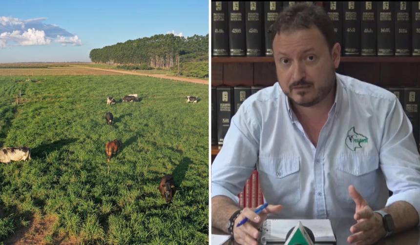 Conversión de tierras: Ganaderos dicen que ley se socializa hace 7 años y ven interés político en pedido de abrogación 