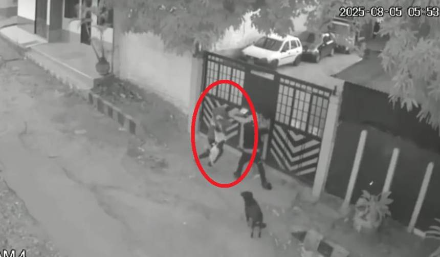 Video: Un pequeño perro salva a un joven que estaba siendo atacado por dos hombres armados