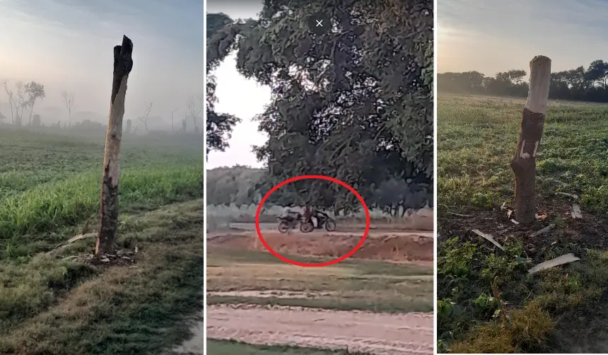 Anapo advierte inacción del Gobierno tras avanzada de avasalladores en Pozo del Tigre