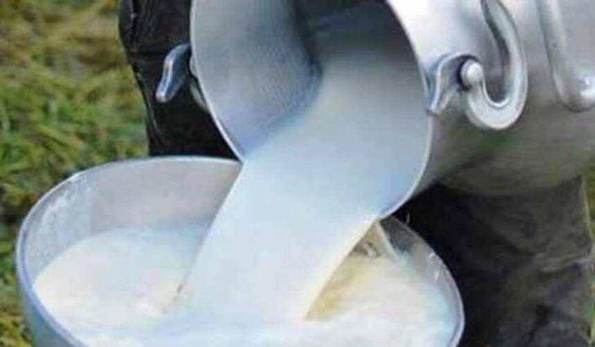 Fedeple dice que si en ocho días no se soluciona abastecimiento de diésel, cerrará la planta que abastece el 78% de leche a la industria