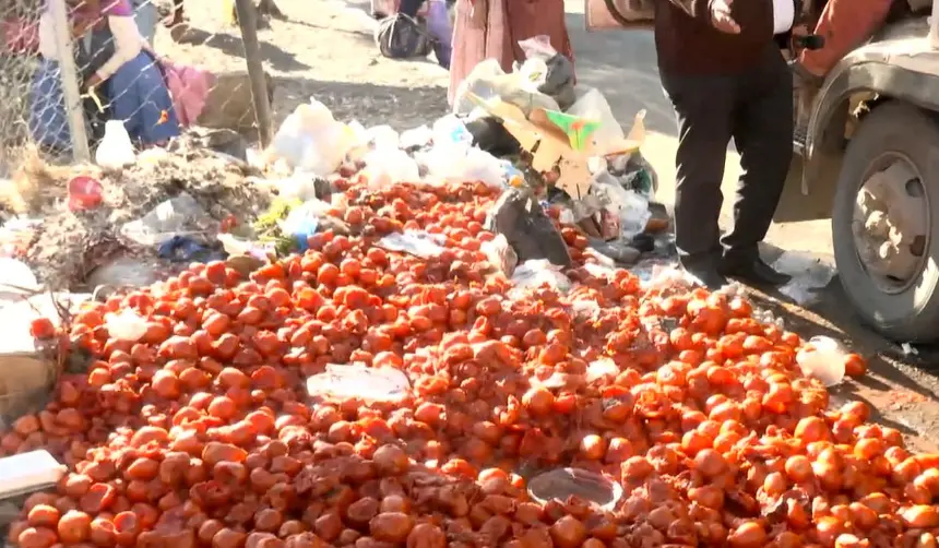 Bloqueos: Productor desecha cajas de tomate tras demorar 15 días en llegar de Santa Cruz a La Paz