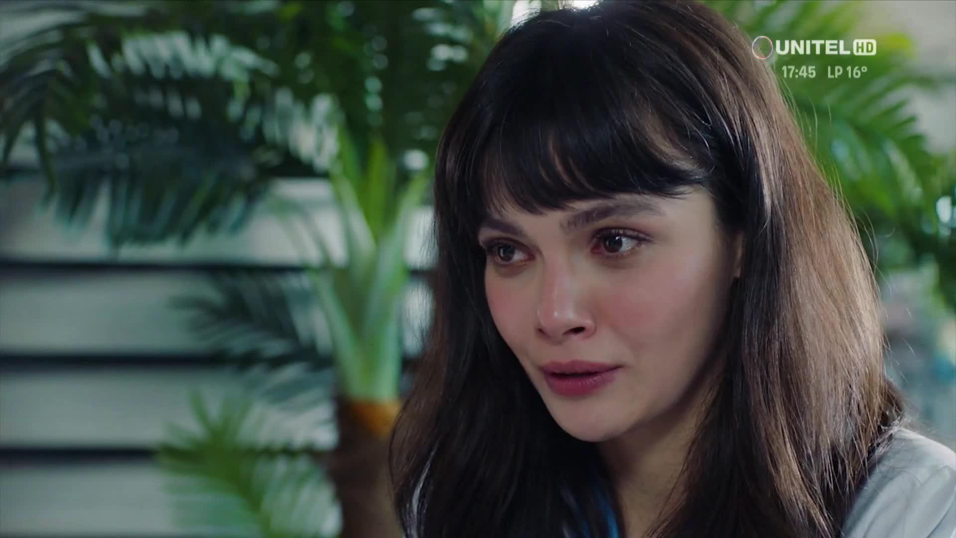 Doctor Milagro capítulo 233 