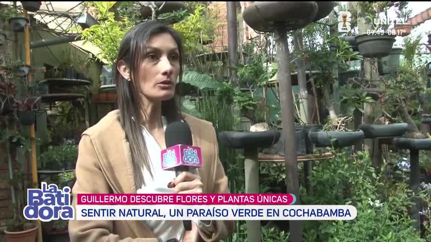 La Batidora