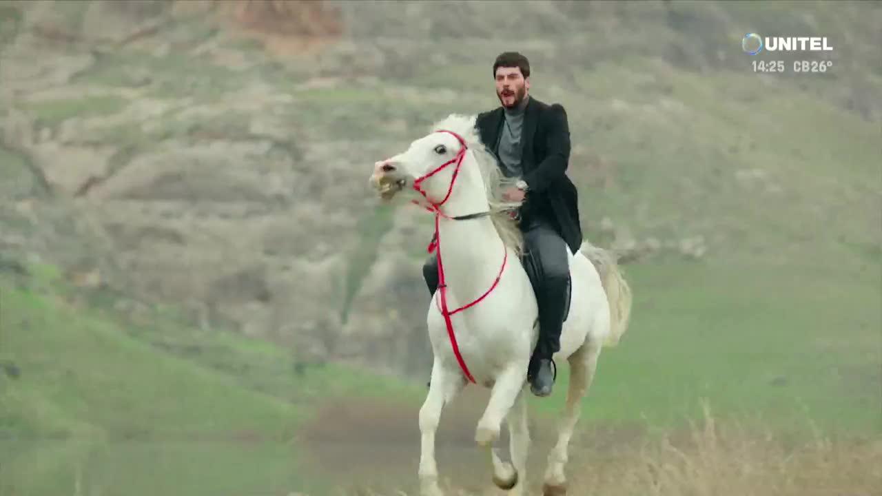 Hercai capítulo 169